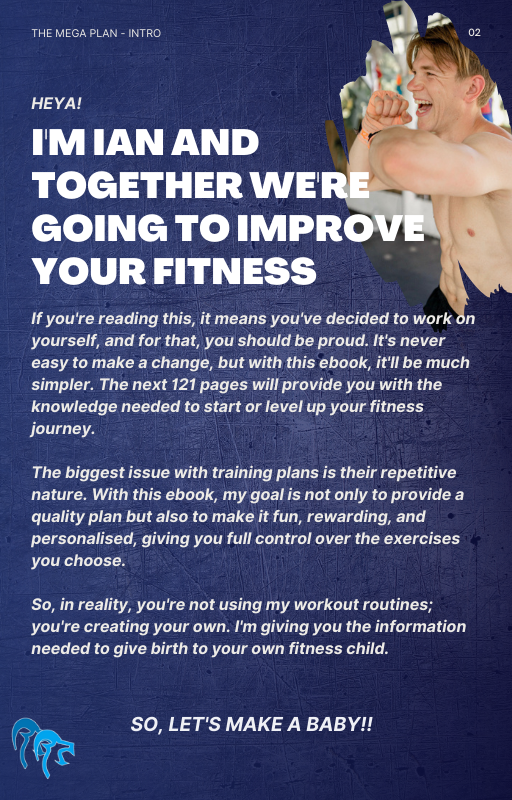 The Mega Plan - Your Tailored Fitness Journey (Ebook)