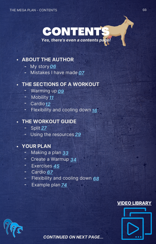 The Mega Plan - Your Tailored Fitness Journey (Ebook)