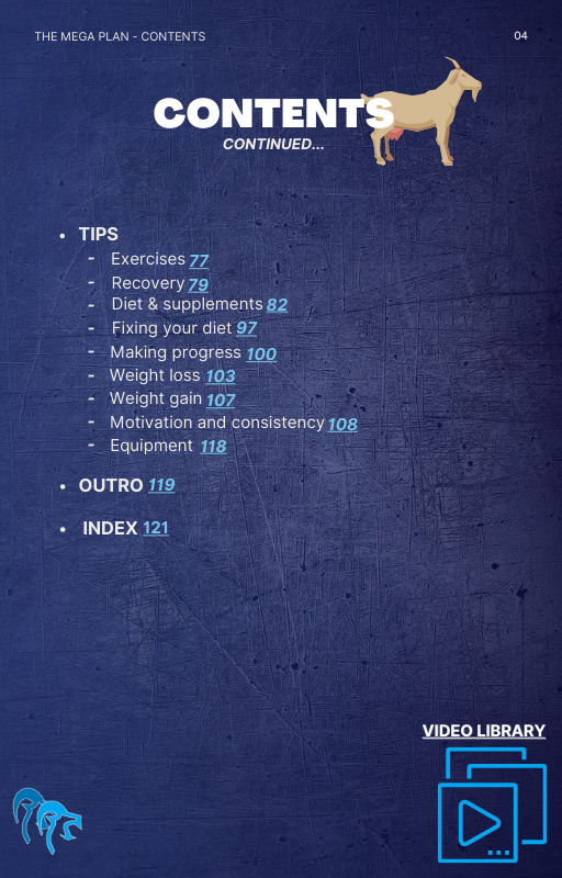 The Mega Plan - Your Tailored Fitness Journey (Ebook)