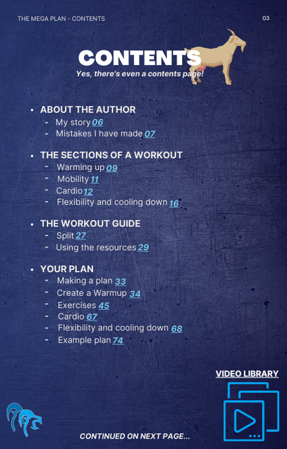 The Mega Plan - Your Tailored Fitness Journey (Ebook)